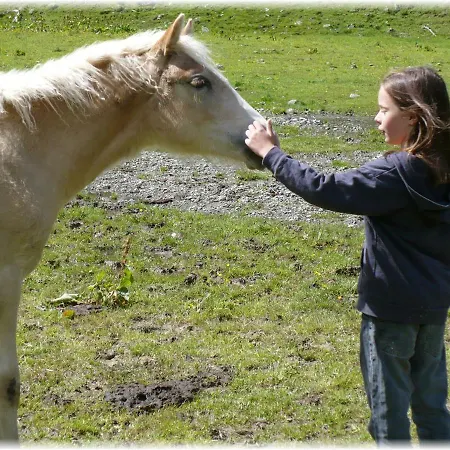 Kleine فندق 3*